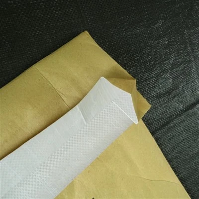 PP Laminated Kraft Daim Ntawv Hnab